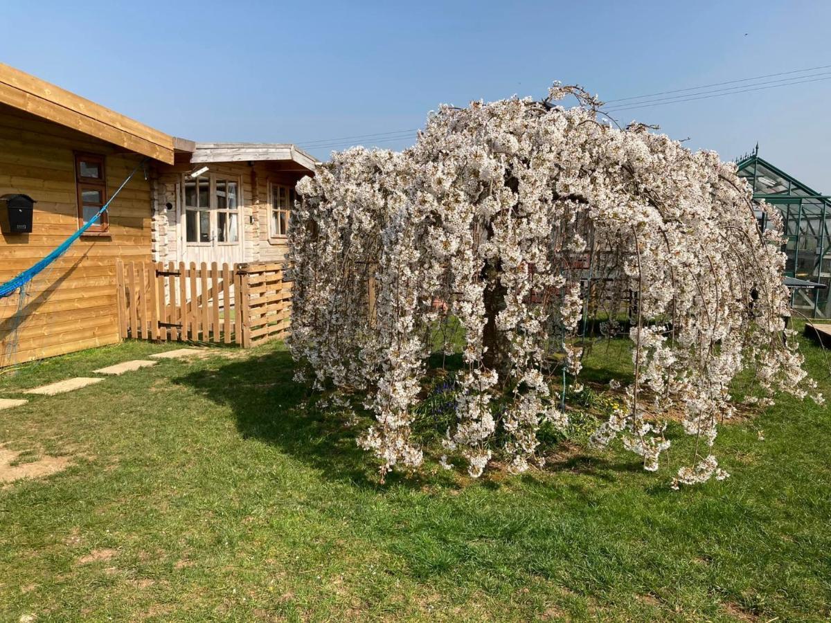 The Retreat 호텔 Hornblotton 외부 사진